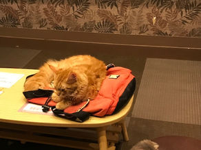 英検英作文書き方対策とコツやノウハウ