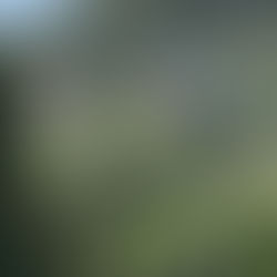 英検英作文書き方対策とコツ・ノウハウ