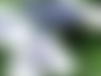 丁寧さ随一の無料体験添削受付中