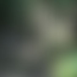 英検英作文の書き方対策とコツ