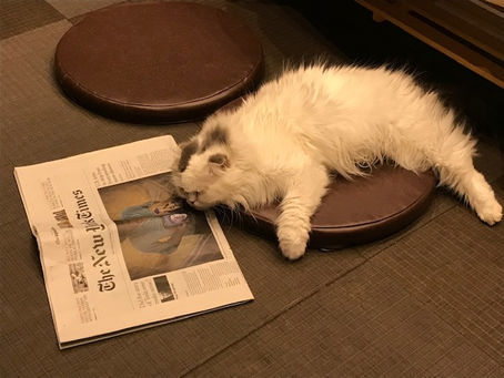 英検英作文 書き方のコツとノウハウ