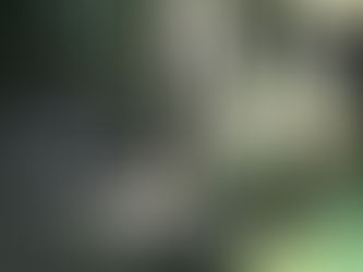 英語の名言や諺