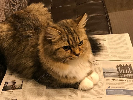 2024年度 英作文問題改訂(増加)