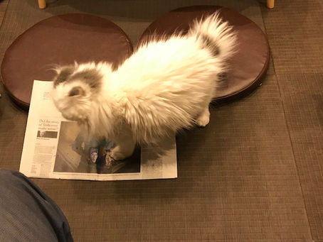 英検英作文 書き方のコツとノウハウ