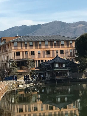 猿沢池より
