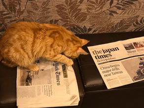 英検英作文 書き方のコツとヒント