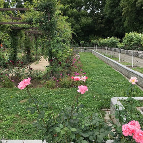 英検英作文の書き方対策とコツ