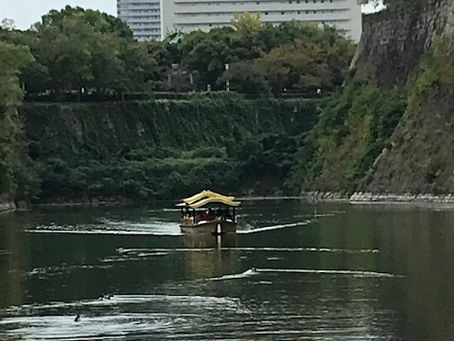 Shouldで始まるトピック対策