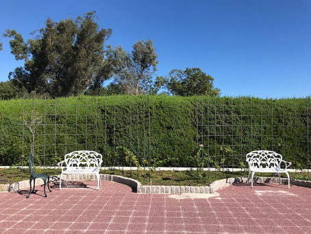 丁寧さ随一の無料体験添削受付中