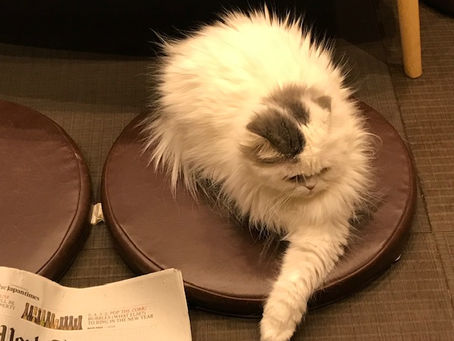 英検英作文 書き方のコツとノウハウ