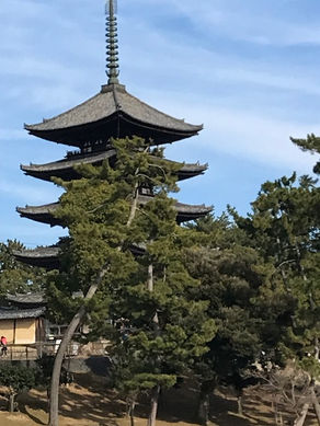 英検英作文 書き方のコツやヒント