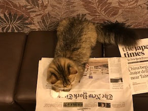 2024年度 英作文問題形式改訂