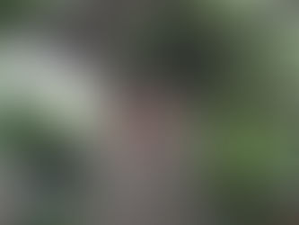 真の賢者は己の愚を知る者なり