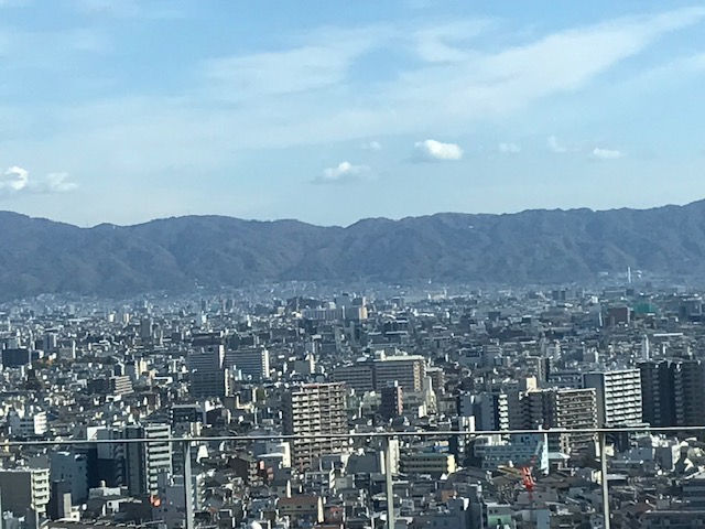 中心部から東を望む