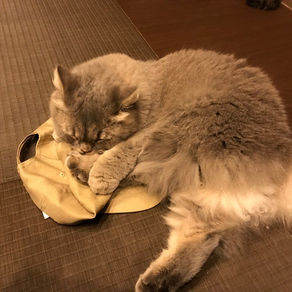 英検英作文の書き方のコツ