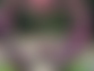 成功の秘訣は、大きなビジョンがあることだ