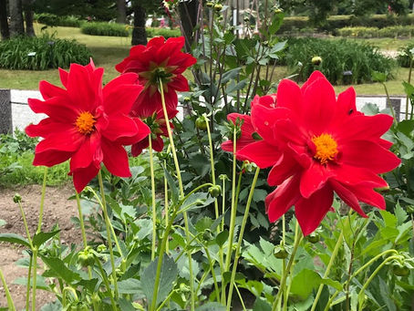 英検英作文 書き方のコツやヒント