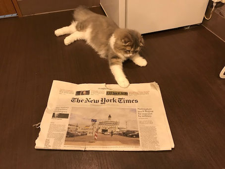 英検英作文 書き方のコツとヒント