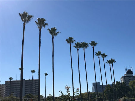 英検英作文専門添削教室とは