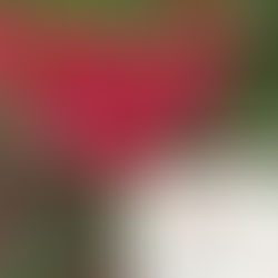 英検英作文の書き方対策とコツ