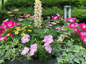 2024年度 英検英作文問題数増加