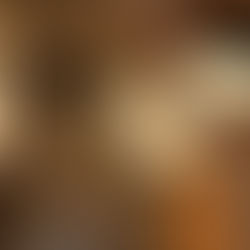 英字新聞を囲んだネコの集会