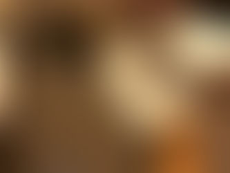 英字新聞を囲んだネコの集会