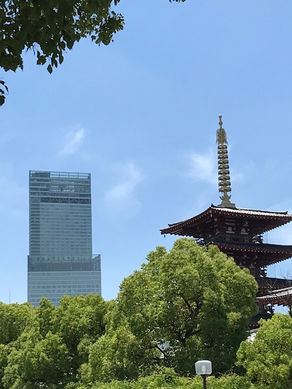 ハルカスと四天王寺