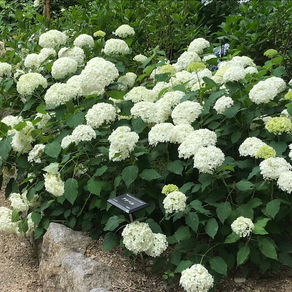 英検英作文の書き方対策とコツ