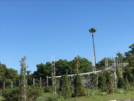 幸せになる事に躊躇してはいけない。