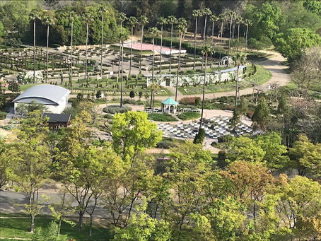 2024年度 英検英作文問題リニューアル