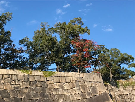 英語の名言や諺