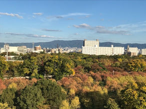 もし黄色と橙色がなければ、青色もない。