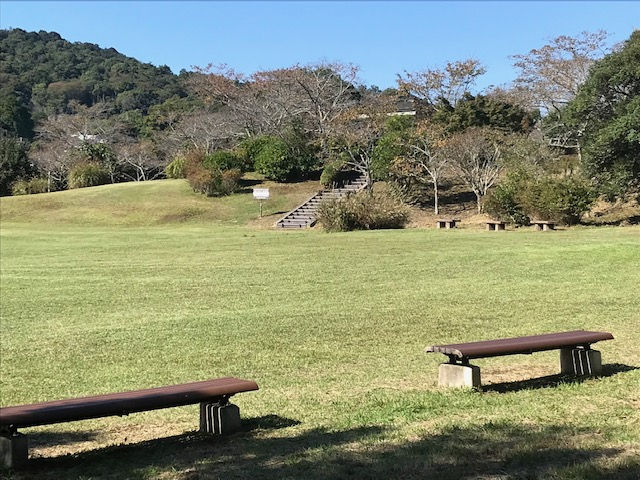 芝生の公園