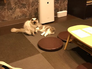 英検試験対策の継続