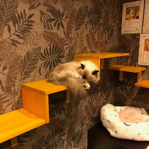 英検英作文の書き方対策とコツ