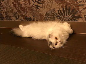 英検英作文書き方対策とコツやノウハウ