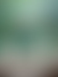 英検英作文 書き方のコツやヒント