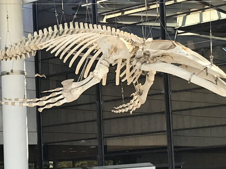 英語の名言や諺