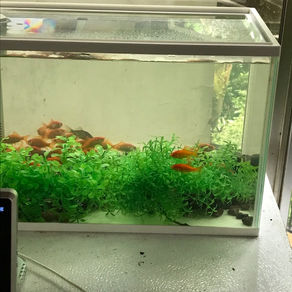 英検英作文の書き方対策とコツ