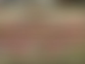 英語の名言や諺