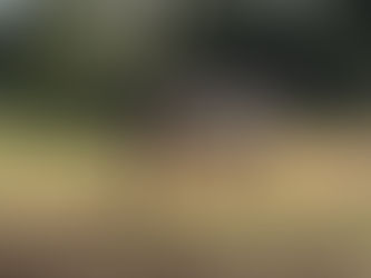 英検英作文の書き方対策とコツ