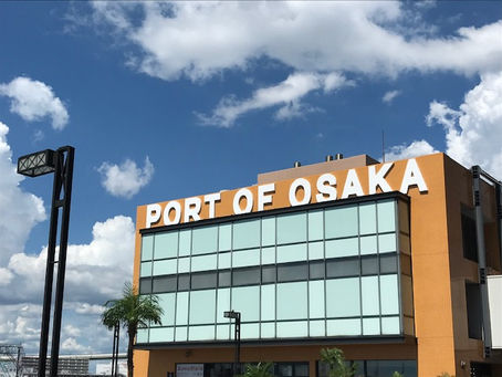 2024年度 英作文問題数増加