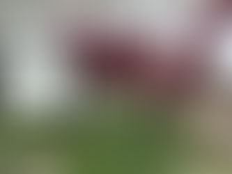 英検英作文書き方対策とコツ・ノウハウ