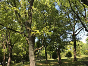 英検英作文 書き方のコツとヒント