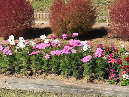 すべては練習のなかにある