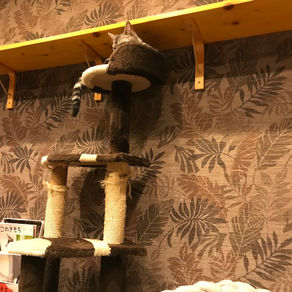 英検英作文の書き方対策とコツ