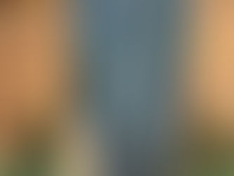 英語に関するご相談・ご質問受付中