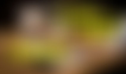 信頼関係に基づくオンライン英作文添削