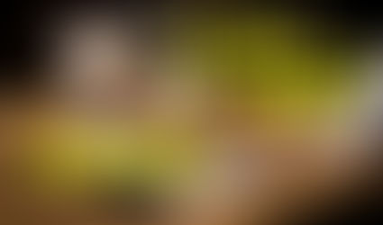 信頼関係に基づくオンライン英作文添削